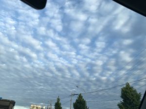 Sky